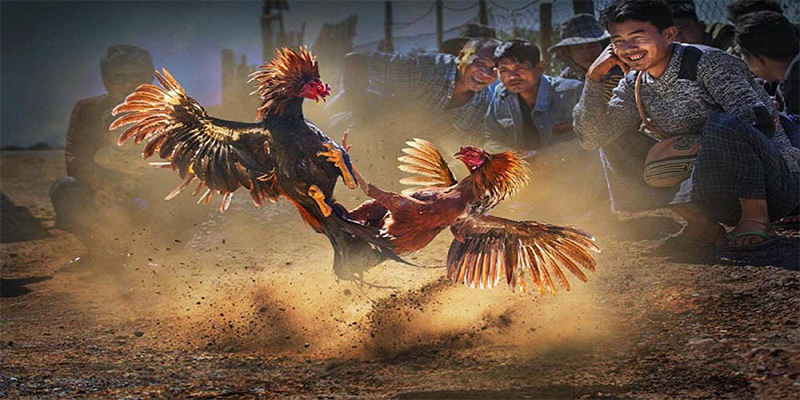 1133win chơi bắn cá đổi thưởng