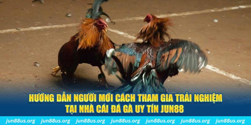 1133win CQ9 Điện Tử