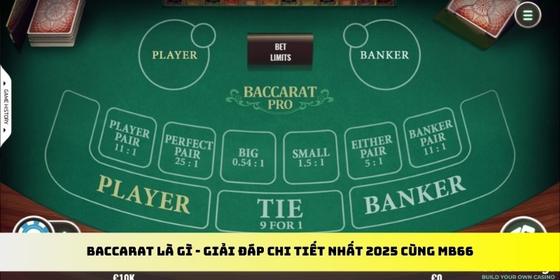 1133win gà chọi cu cần