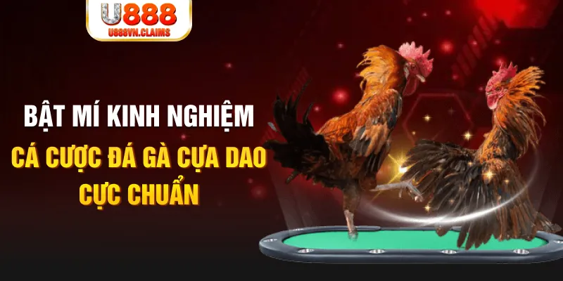 1133win tỷ lệ cá cược châu á là gì