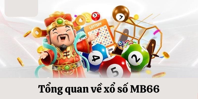 1133win da ga