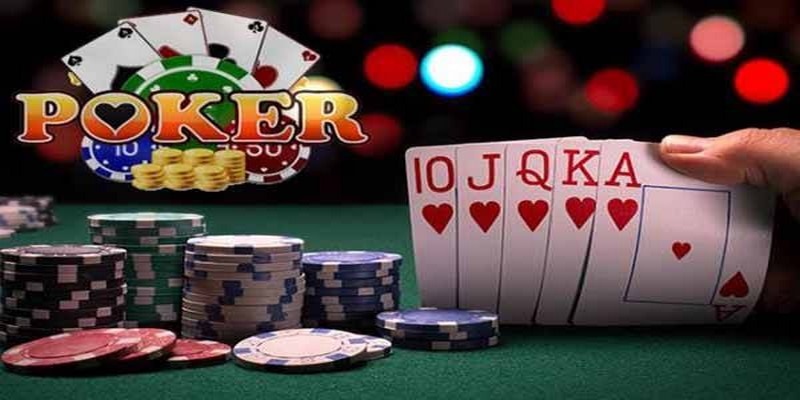 1133win đá gà thomo trực tiếp