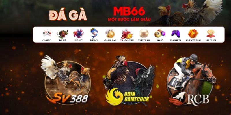 1133win đăng nhập poker số 1