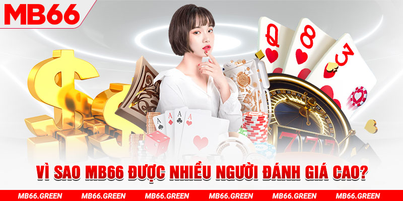 1133win đá gà