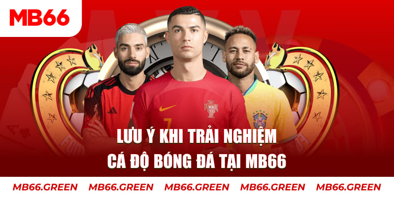 1133win cá cược là gì