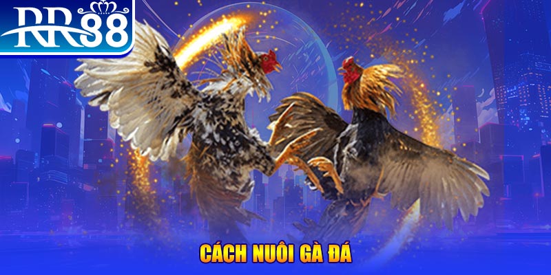 1133win xổ số an giang