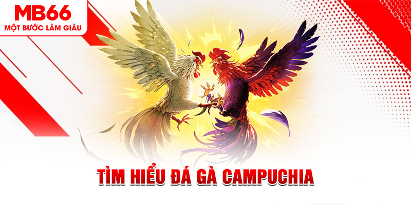 1133win đá gà trực tiếp