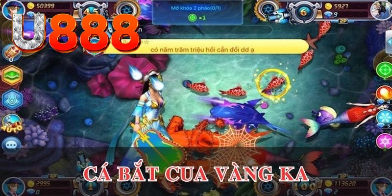 1133win kết quả xổ số hôm nay