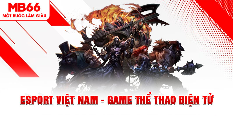 1133win what are the most popular casino games