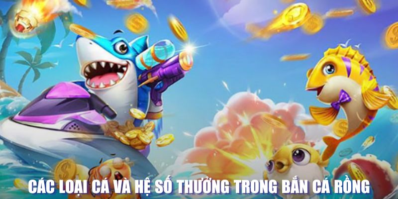 1133win đăng nhập sòng bạc mới nhất
