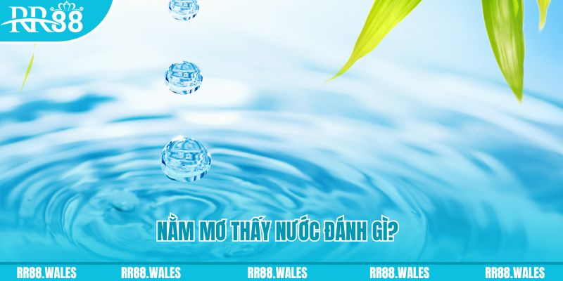 1133win TP Bắn cá