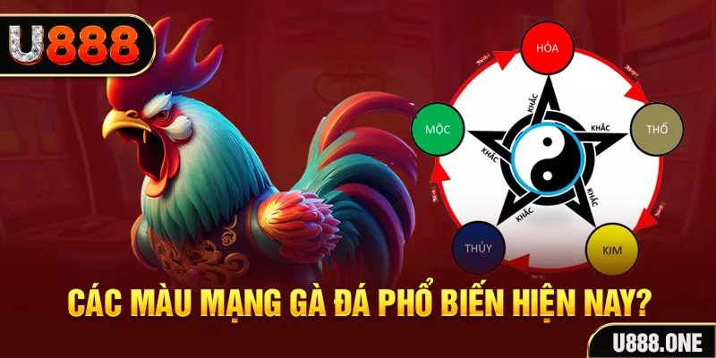 1133win trực tiếp đá gà 88