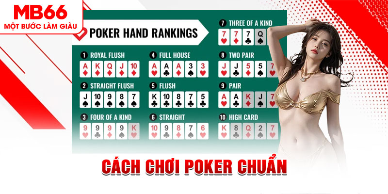 1133win đá gà 88.com