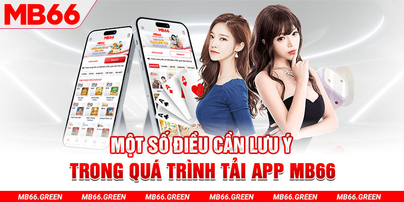 1133win c1 gà chọi