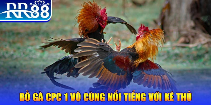 1133win game máy bay nổ hũ