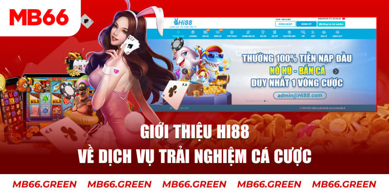 1133win ga choi hoa phong