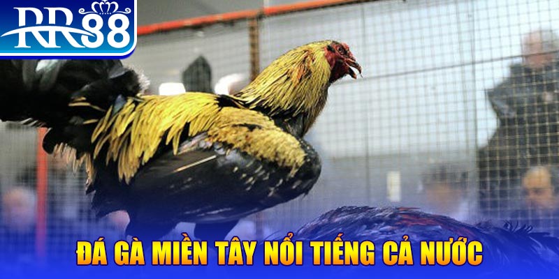 1133win JILI Game Bài 3d