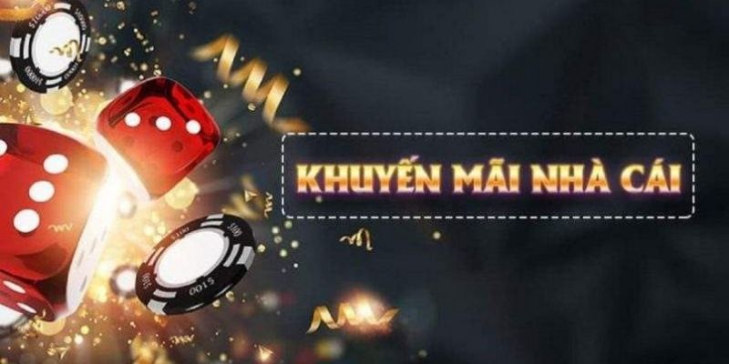 1133win what is live dealer casino
