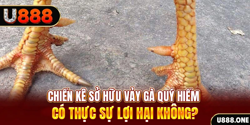 1133win nohu .mx nổ hủ là gì