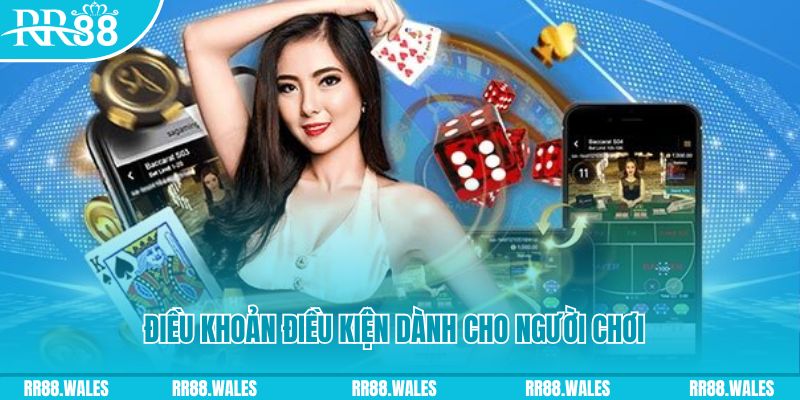 1133win casino gồm những gì