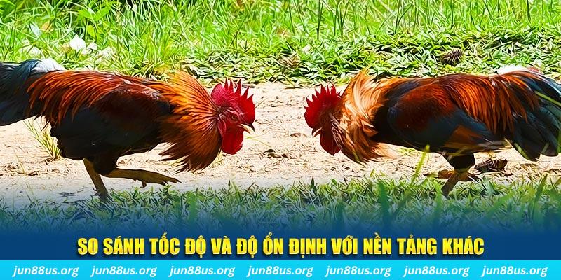 1133win đá gà hôm nay