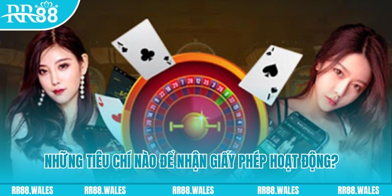 1133win hơn cả bạn bè