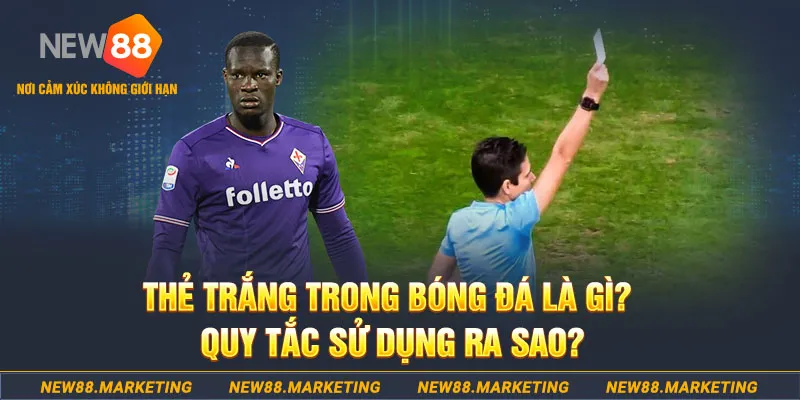 1133win gà chọi mộc hóa