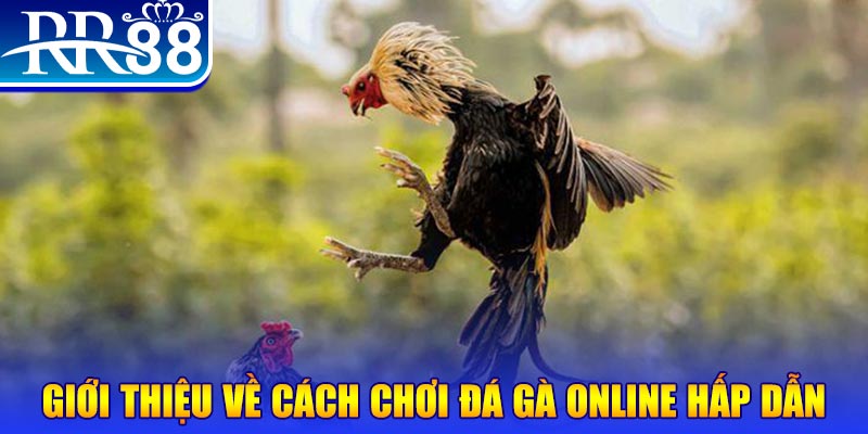 1133win game nổ hũ rút tiền mặt là gì