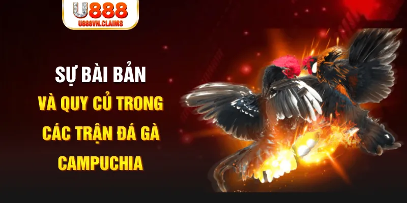 1133win YGR Điện Tử