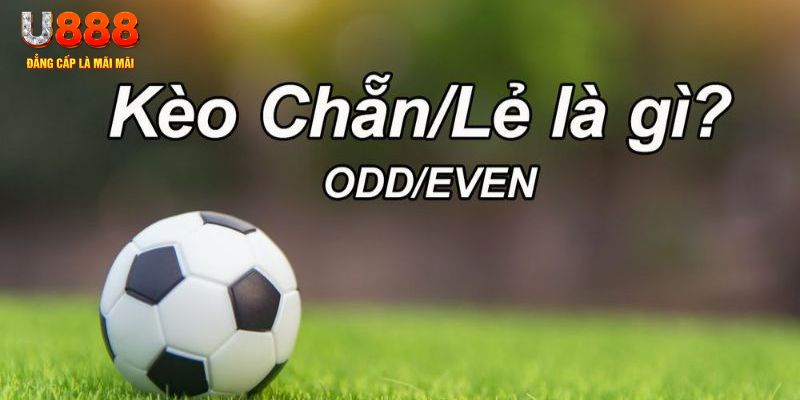 1133win đăng nhập poker hôm nay
