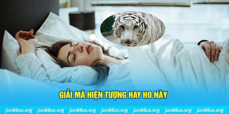 1133win đăng nhập nổ hũ uy tín