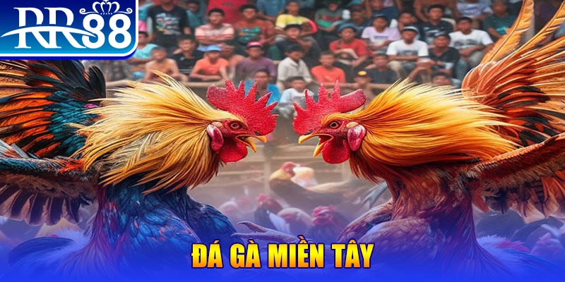 1133win đăng nhập nổ hũ