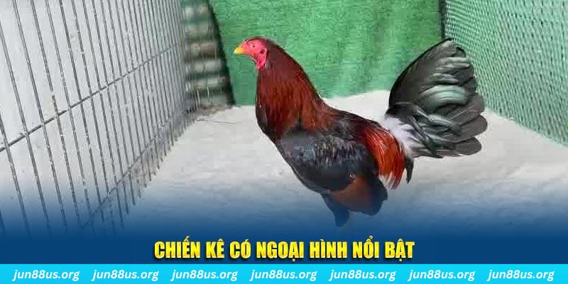 1133win chạy quảng cáo cho game bài bị phạt như thế nào
