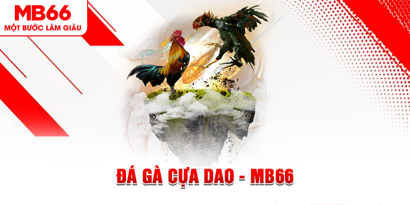 1133win đá gà sv388 gold