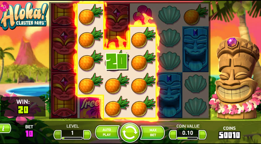 1133win đá gà cựa dao
