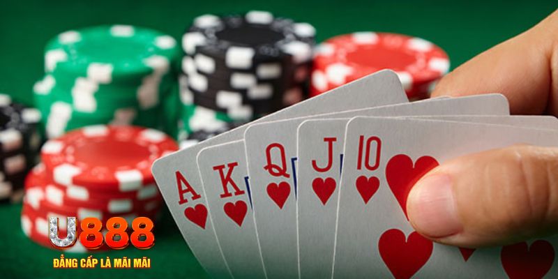 1133win đá gà trực tiếp thomo 67
