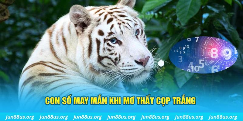 1133win đá gà trực tiếp 88